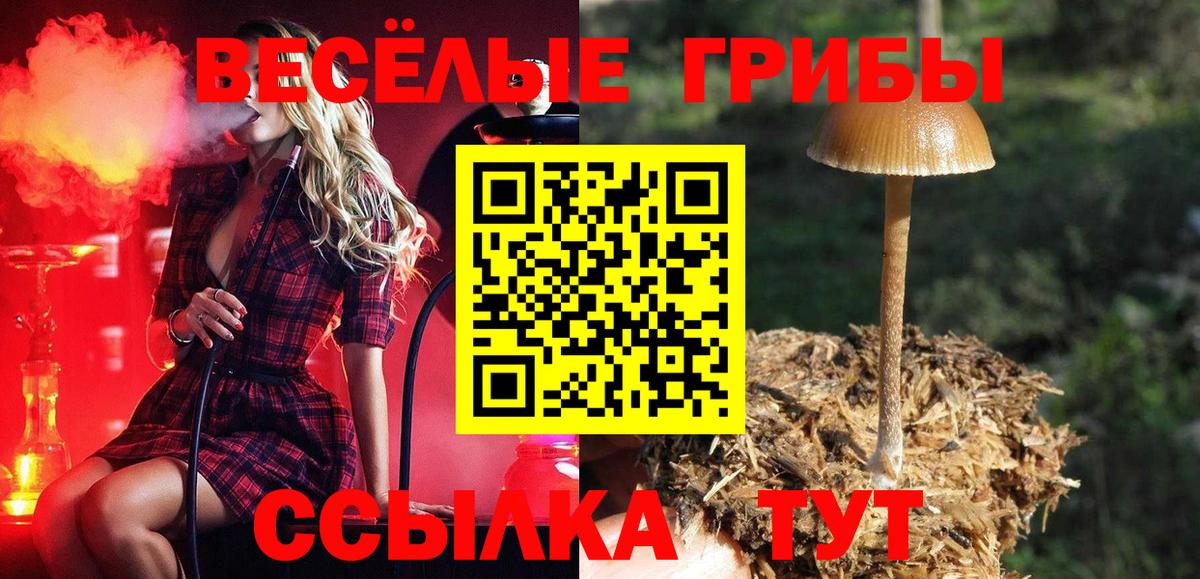 Галлюциногенные грибы Magic Shrooms  Вход с VPN  Краснотурьинск 