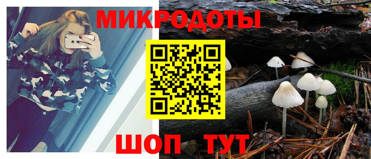 Галлюциногенные грибы Psilocybe Краснотурьинск